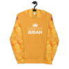 Lion of Judah - Messianic Hoodie